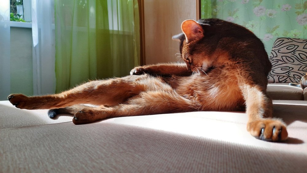 Photograph by Алёна Савицкая