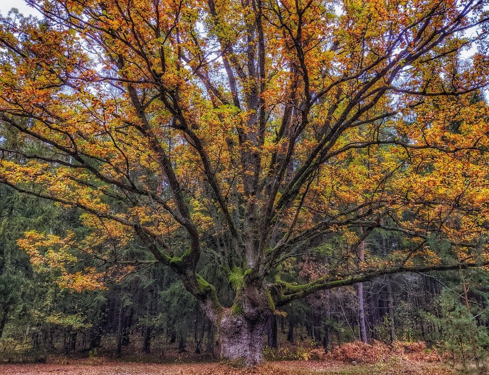 Photo #5283560