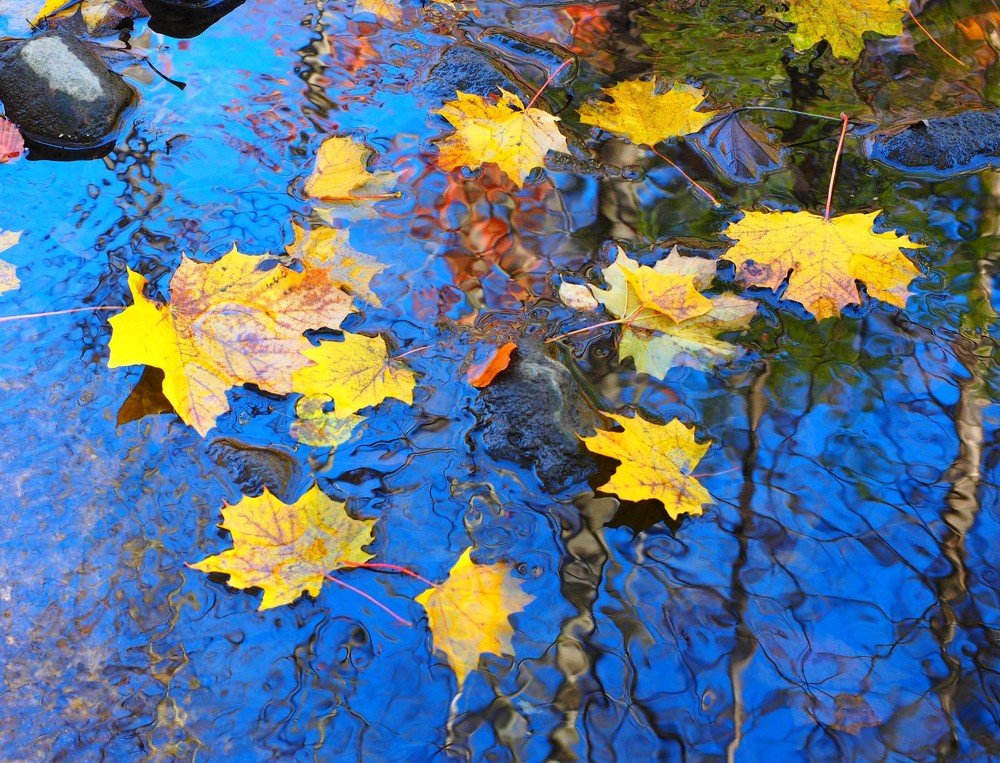 Photograph by Sergey Bykov