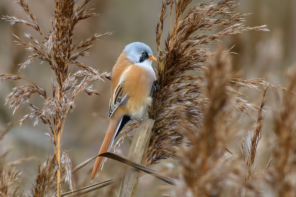 Photograph by Анна Голубева