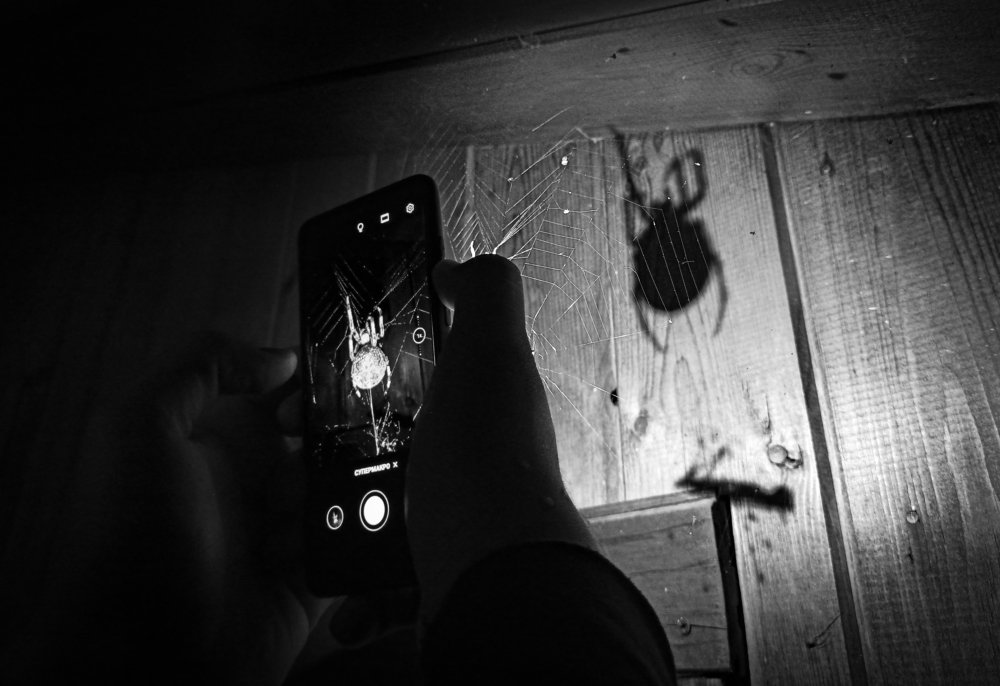 Photograph by Павел Шемякин