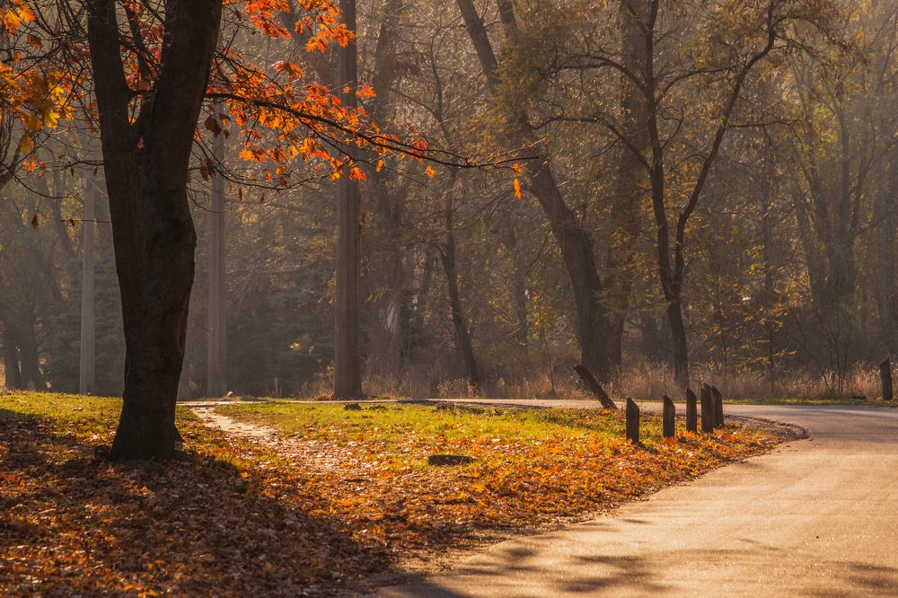 Photograph by Евгения Тарасова