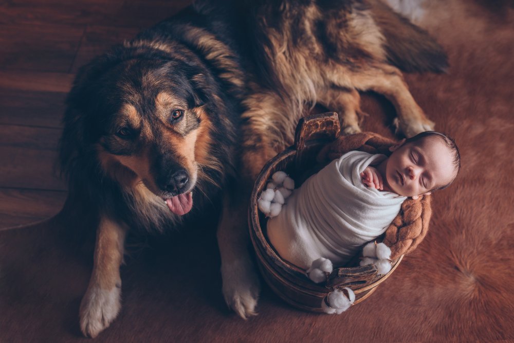 Photograph by Аліна Громко