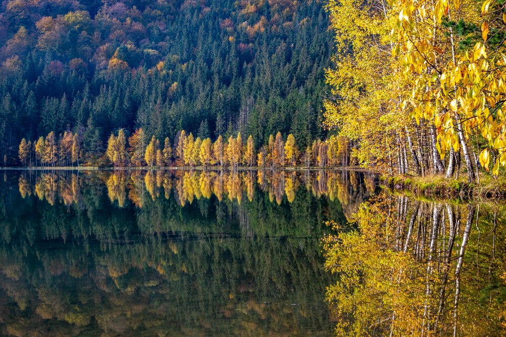 Photograph by Tamas Vargyasi