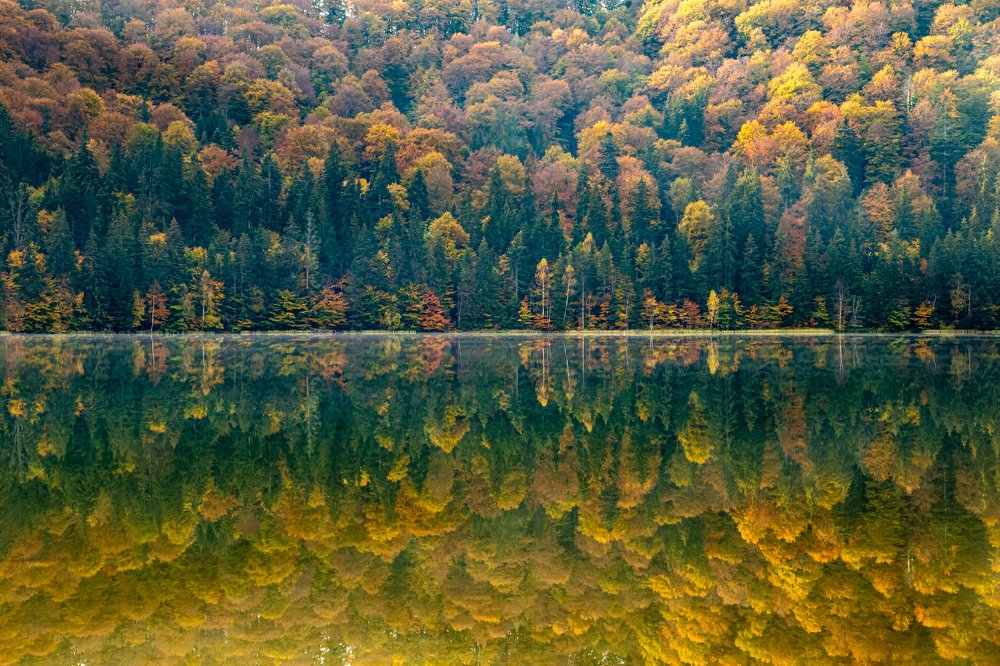 Photograph by Tamas Vargyasi