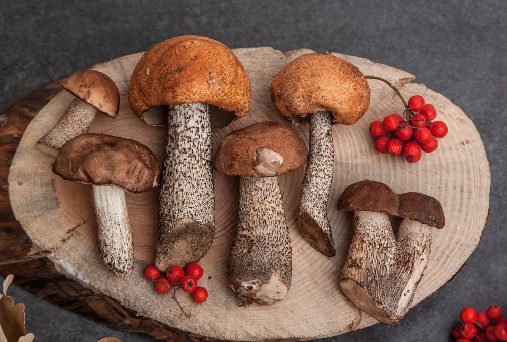 Photograph by Эльвира Сагдиева