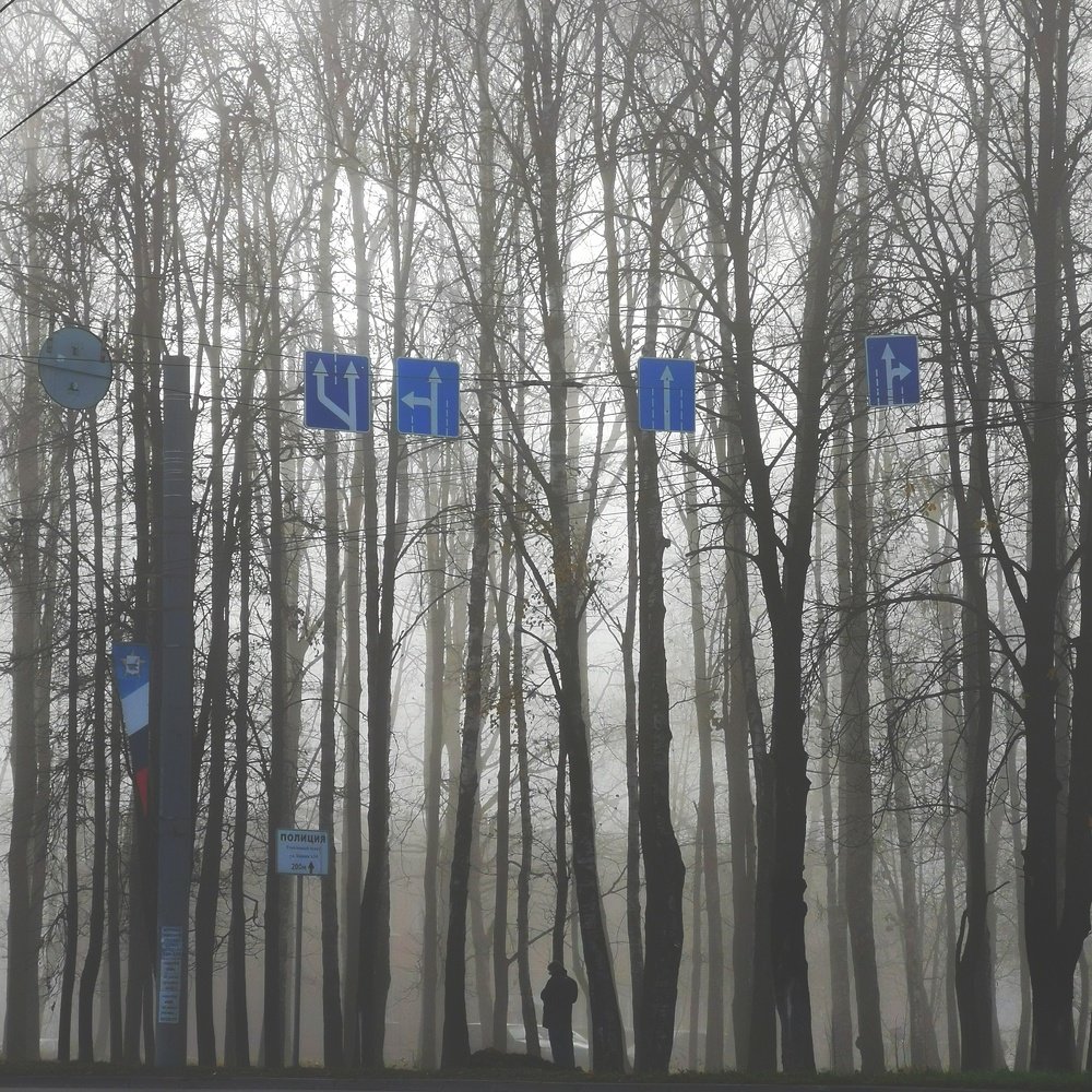 Photograph by Андрей Сухорученков