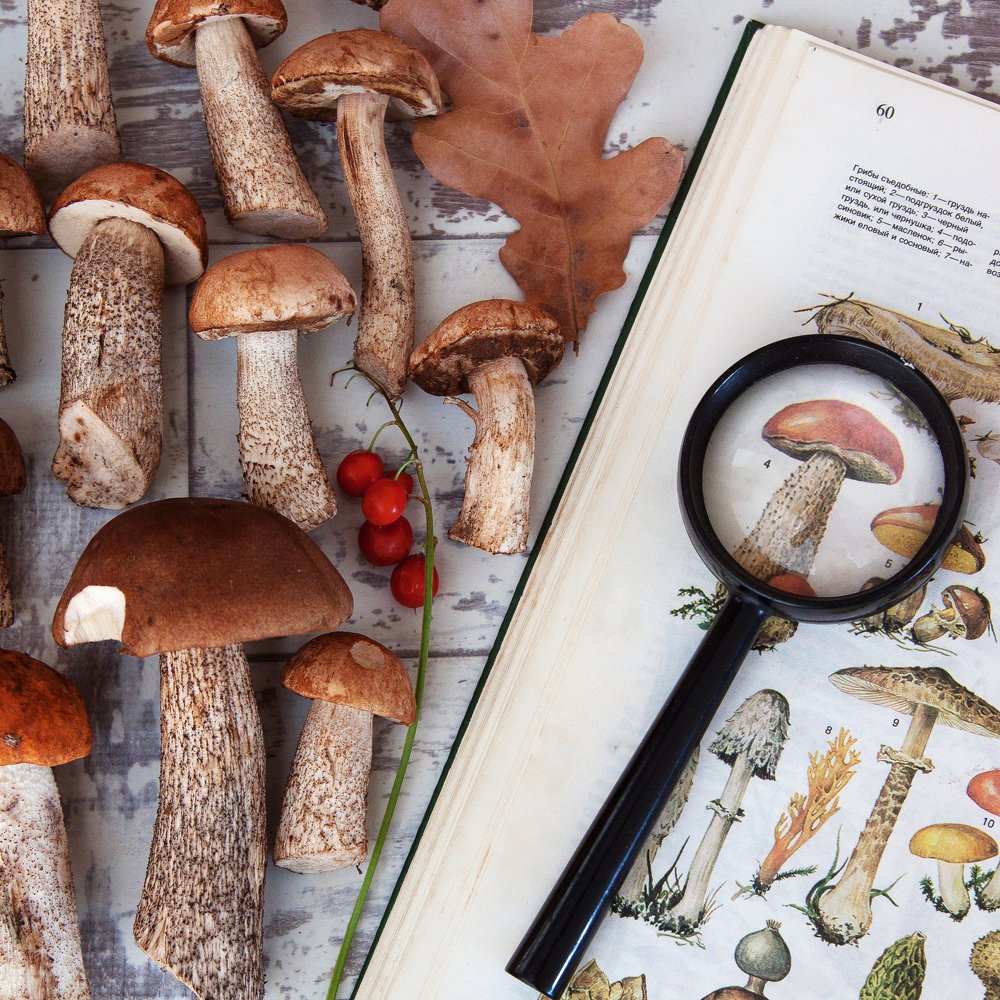 Photograph by Эльвира Сагдиева