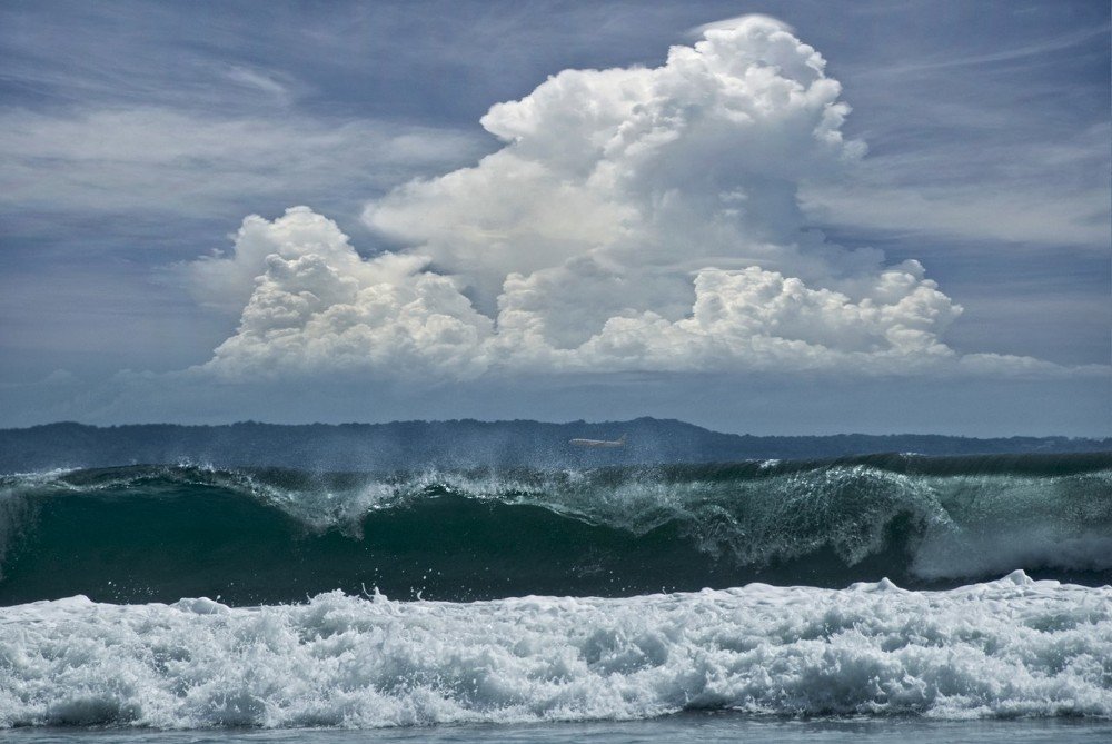 Влажная посадка