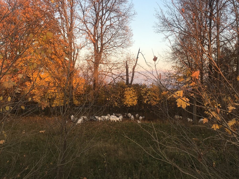 Photograph by Ксения Глубокова