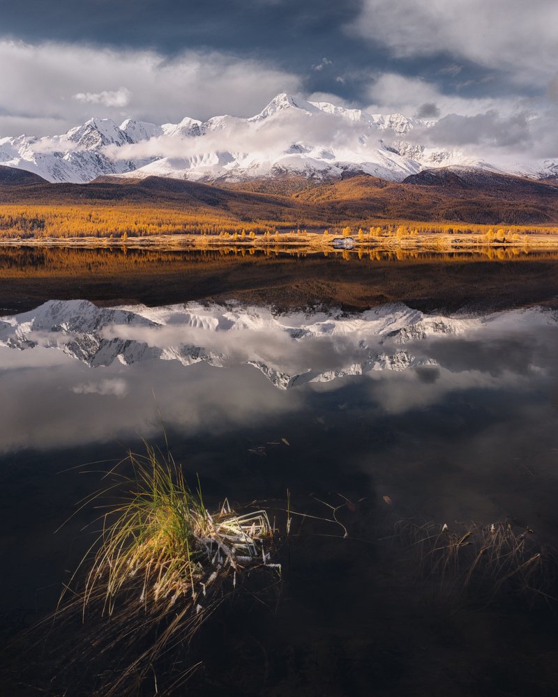 Фотография автора Дмитрий Медянцев