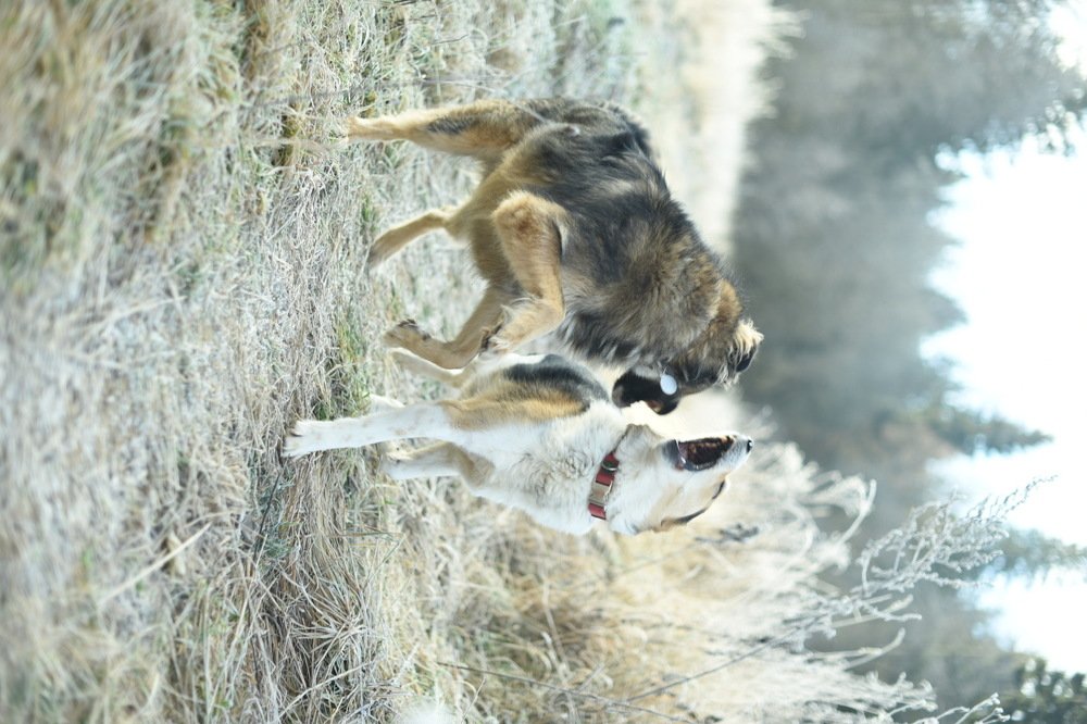 Photograph by Ирина Моисеенко