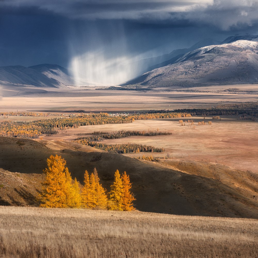 Фотография автора Дмитрий Медянцев
