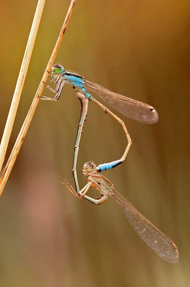 Photograph by Andrés Ruggeri