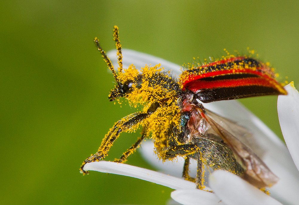 Photograph by Andrés Ruggeri