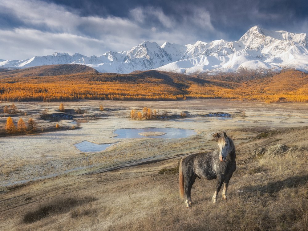 Фотография автора Дмитрий Медянцев