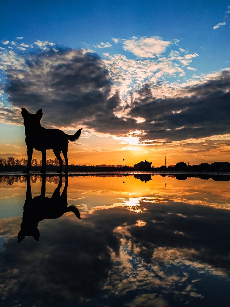 Photograph by Милородова Наталья