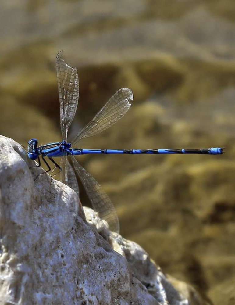 Photograph by Maria Cristina Artale