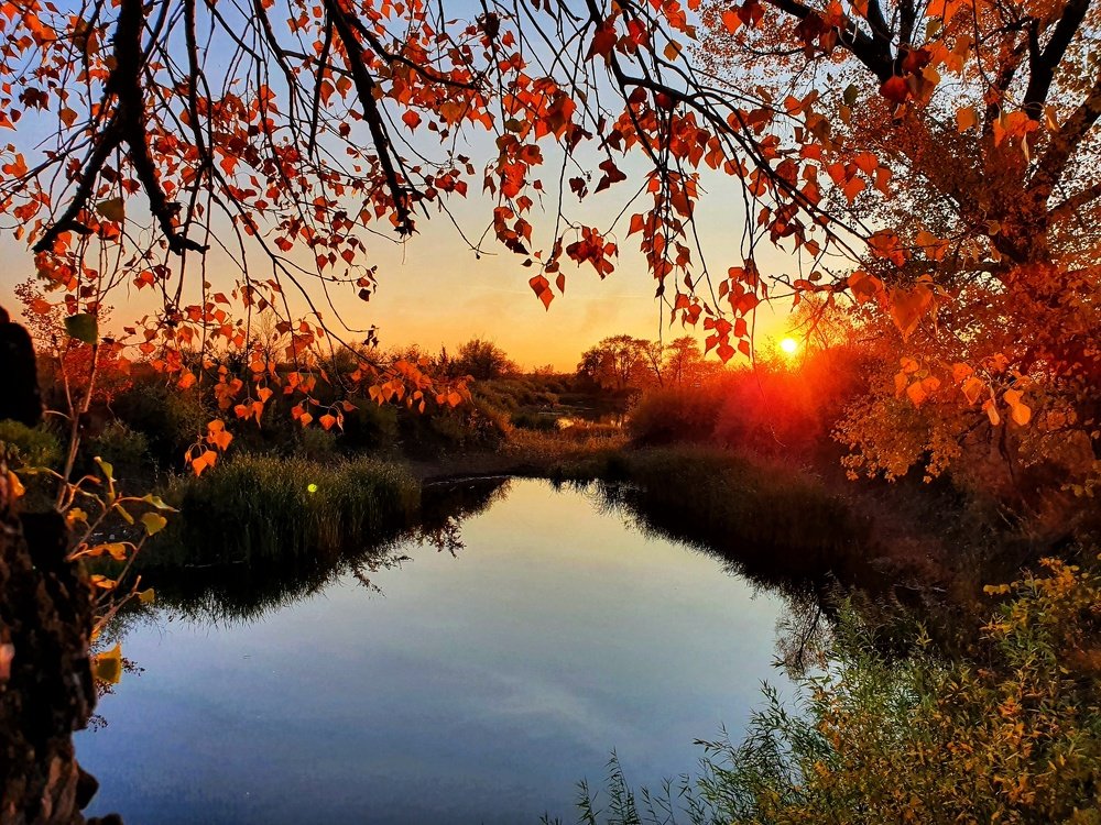 Photograph by Екатерина Хасенова