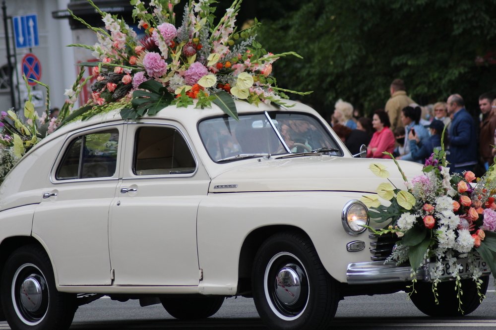 Photograph by Валентина