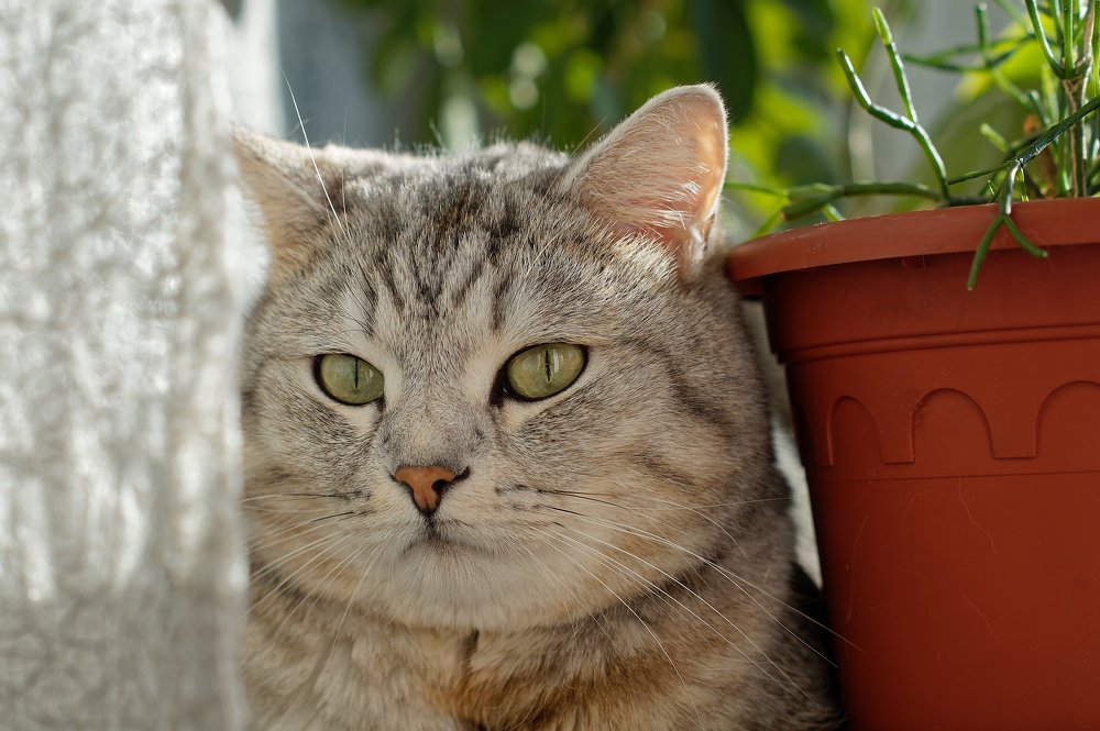 Photograph by Вячеслав Кирьянов