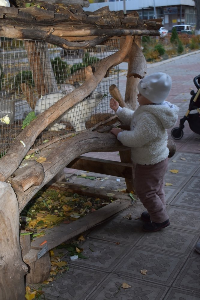 Photograph by Любовь Панфилова