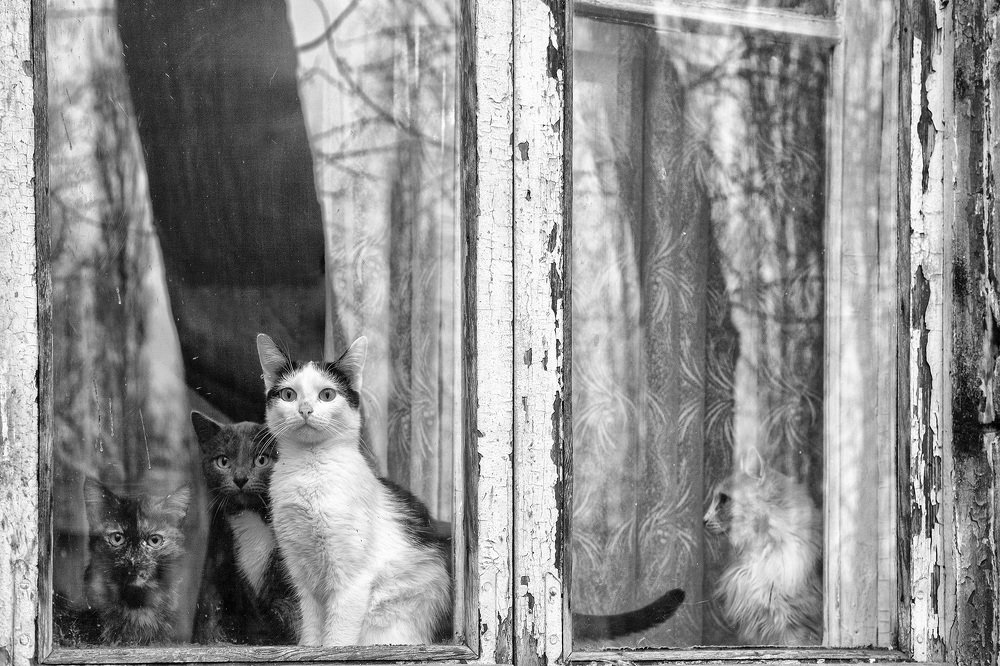 Photograph by Тамара Андреева