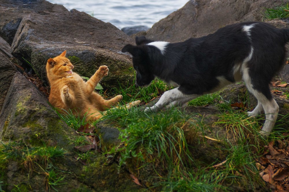 Ну что поговорим