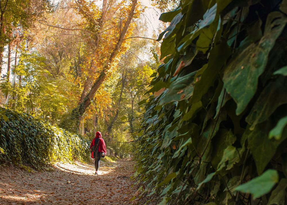 Photograph by Alireza Zaghian