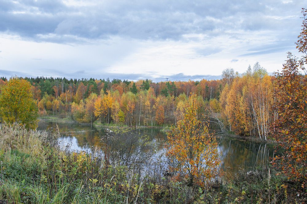 Photograph by Елена Гусева