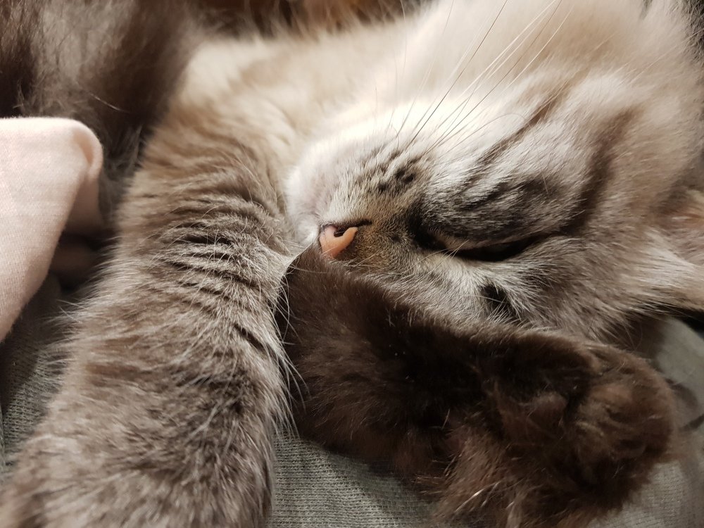 Photograph by Алексей Скоморохов