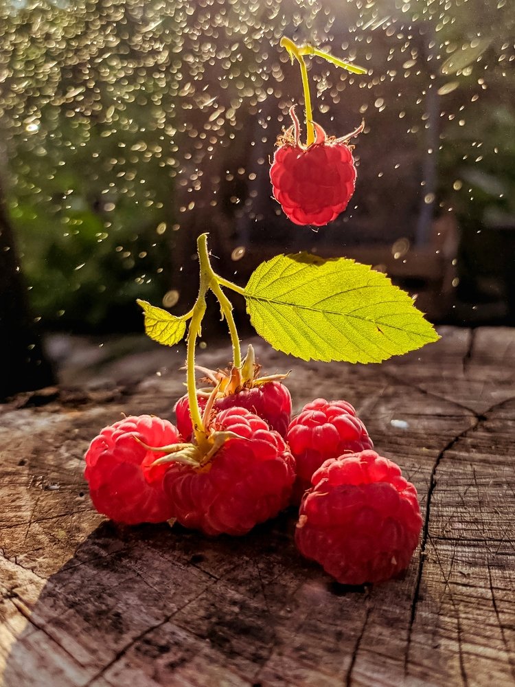 Photograph by Милородова Наталья