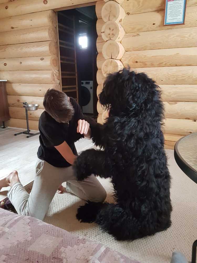 Photograph by Алексей Скоморохов