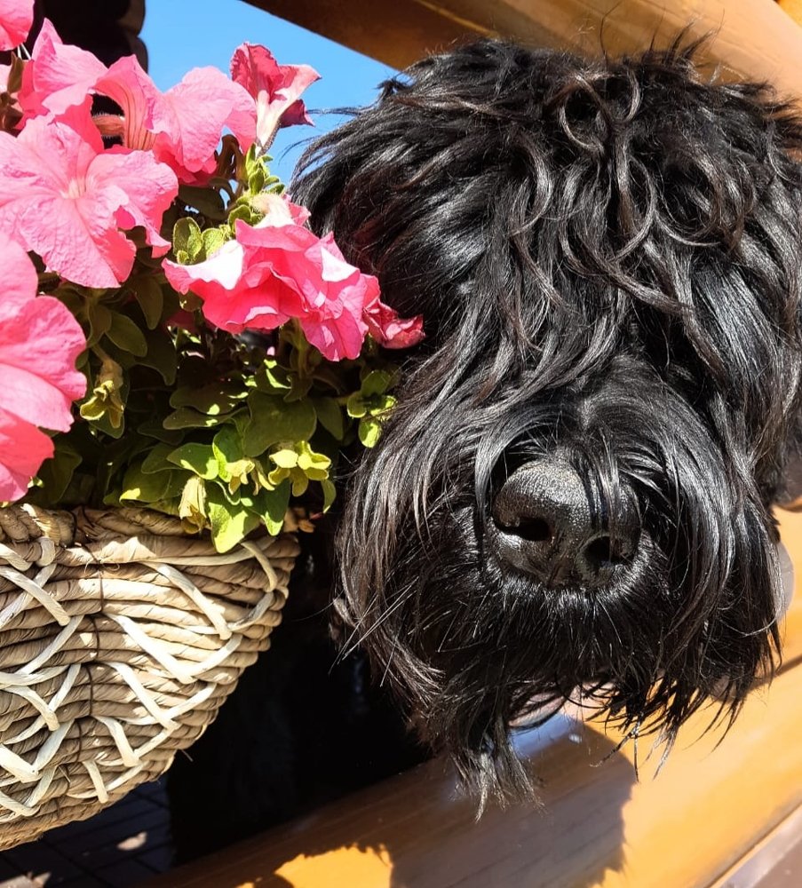 Photograph by Алексей Скоморохов