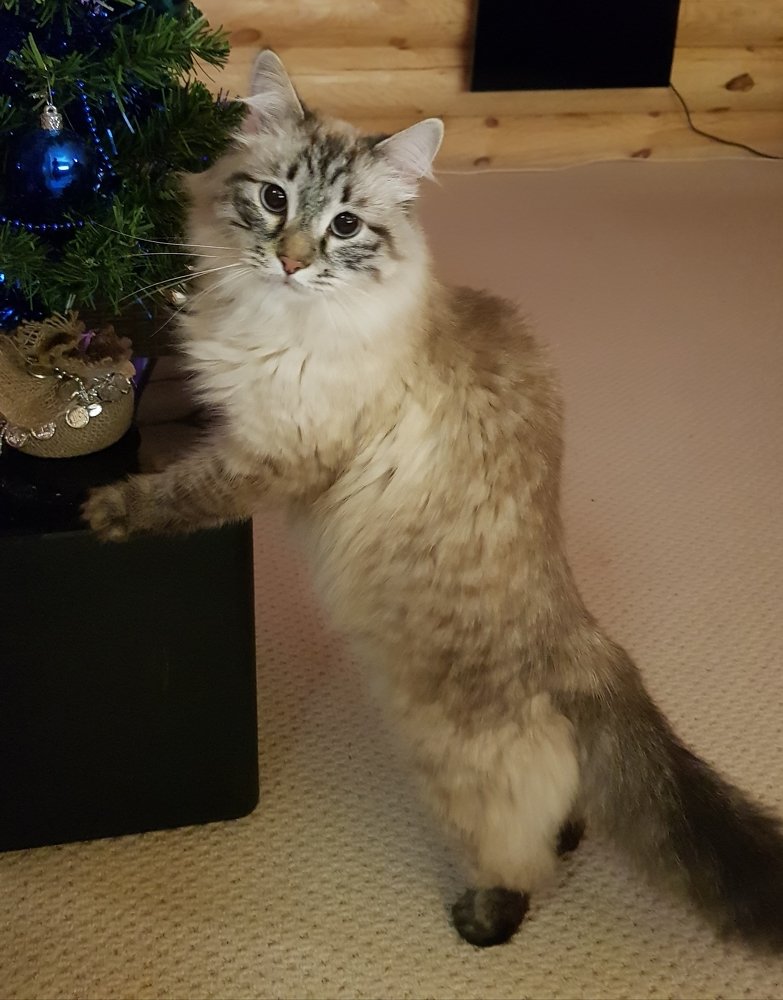 Photograph by Алексей Скоморохов