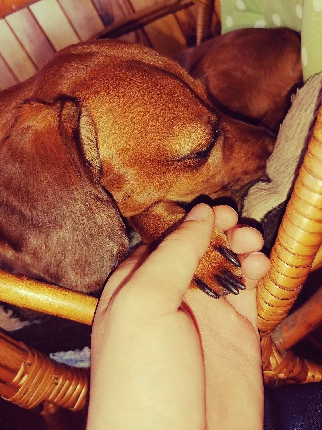 Photo #5284172