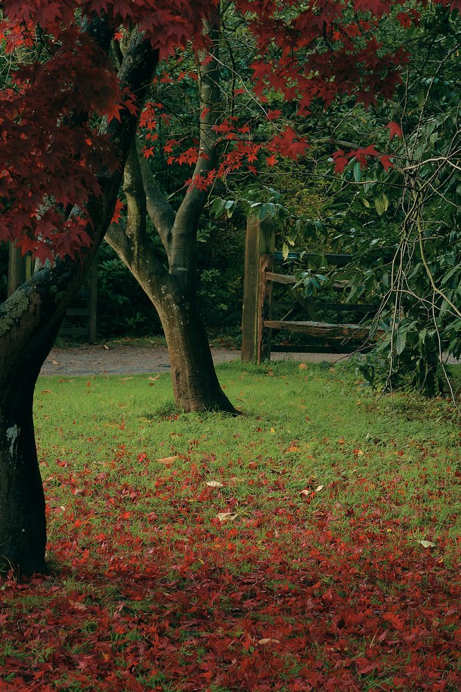 Фотография автора Yulia Dobrynina