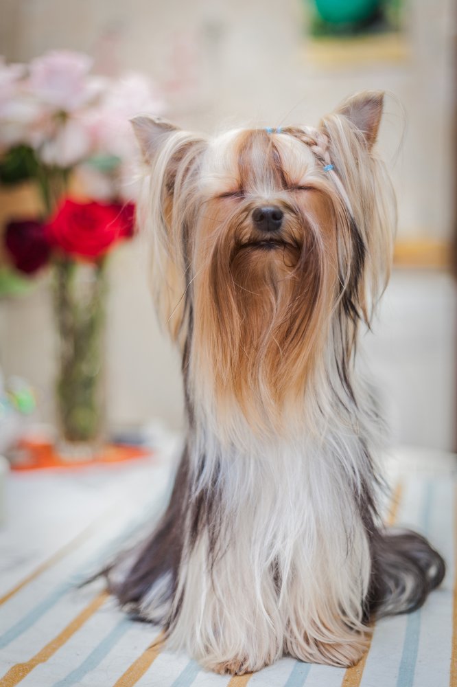 Фотография автора Анатолий Гарин