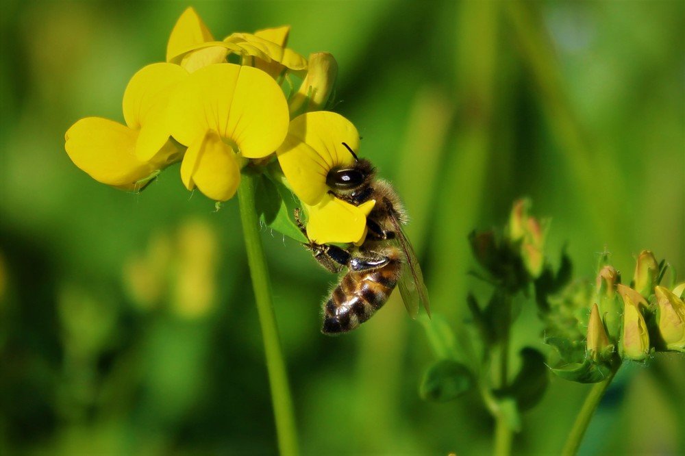 Photograph by Сергей