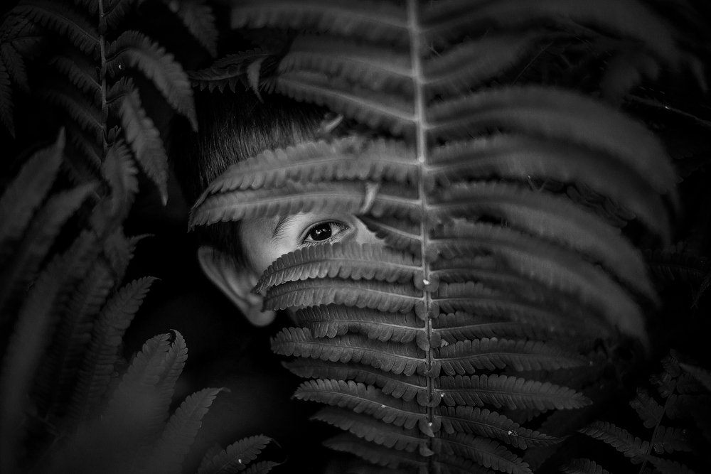 Photograph by Печерских Ксения