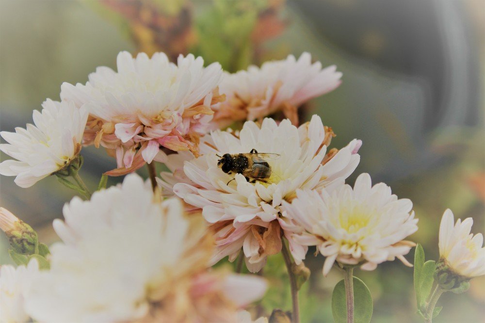 Photograph by Сергей