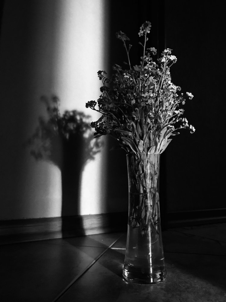 Photograph by Наталья Вистинь