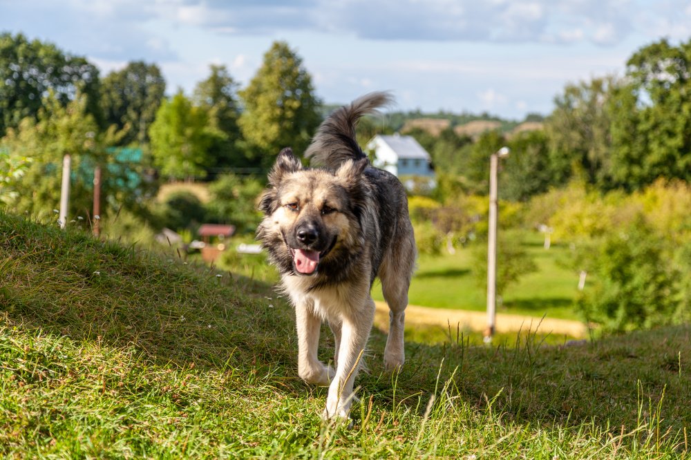 Фотография автора Анатолий Гарин