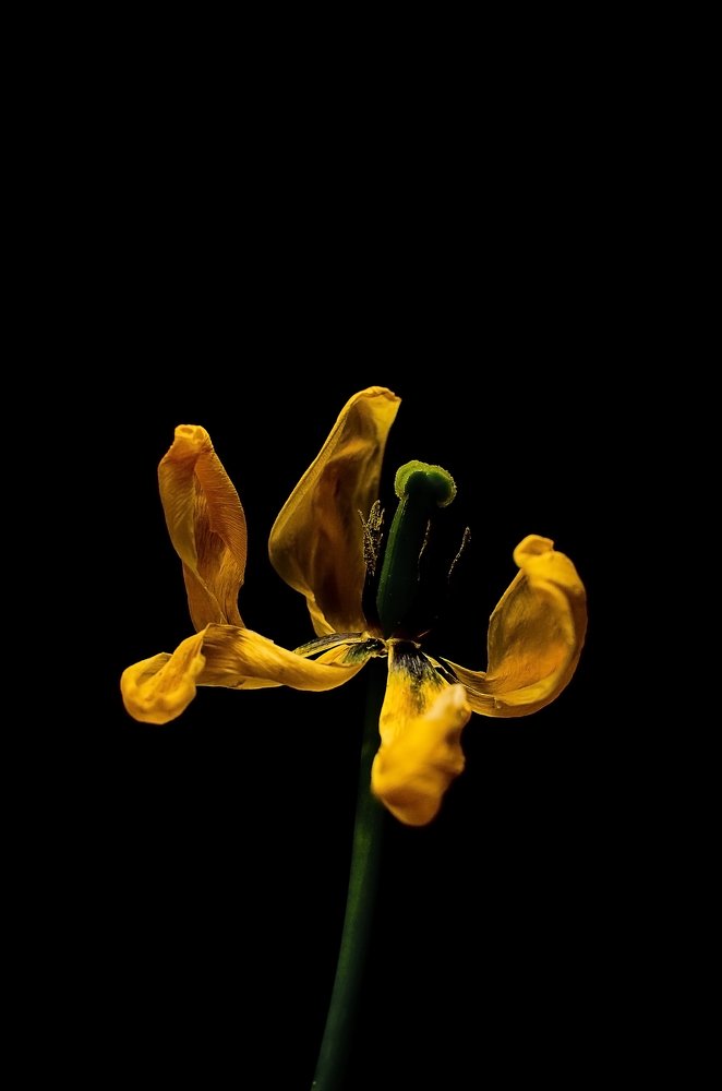 Photograph by Валентина Козлова