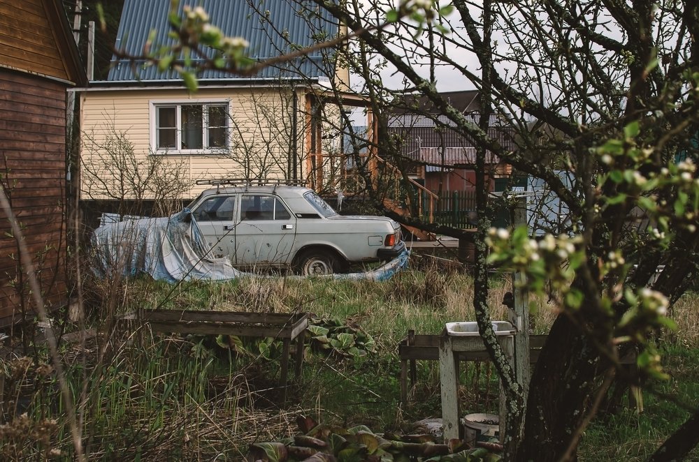 Photograph by Валентина Козлова