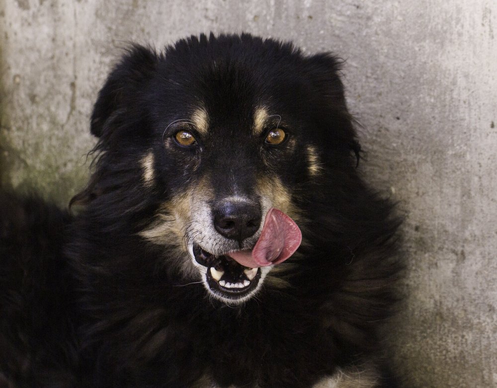 Фотография автора Анна Вигера