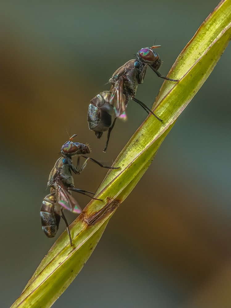 Photograph by Rahul Dey