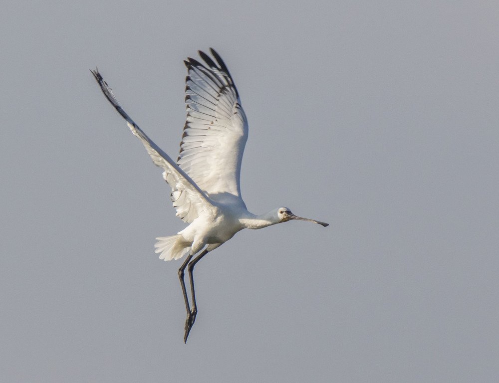 Photograph by Валентина Лопаткина