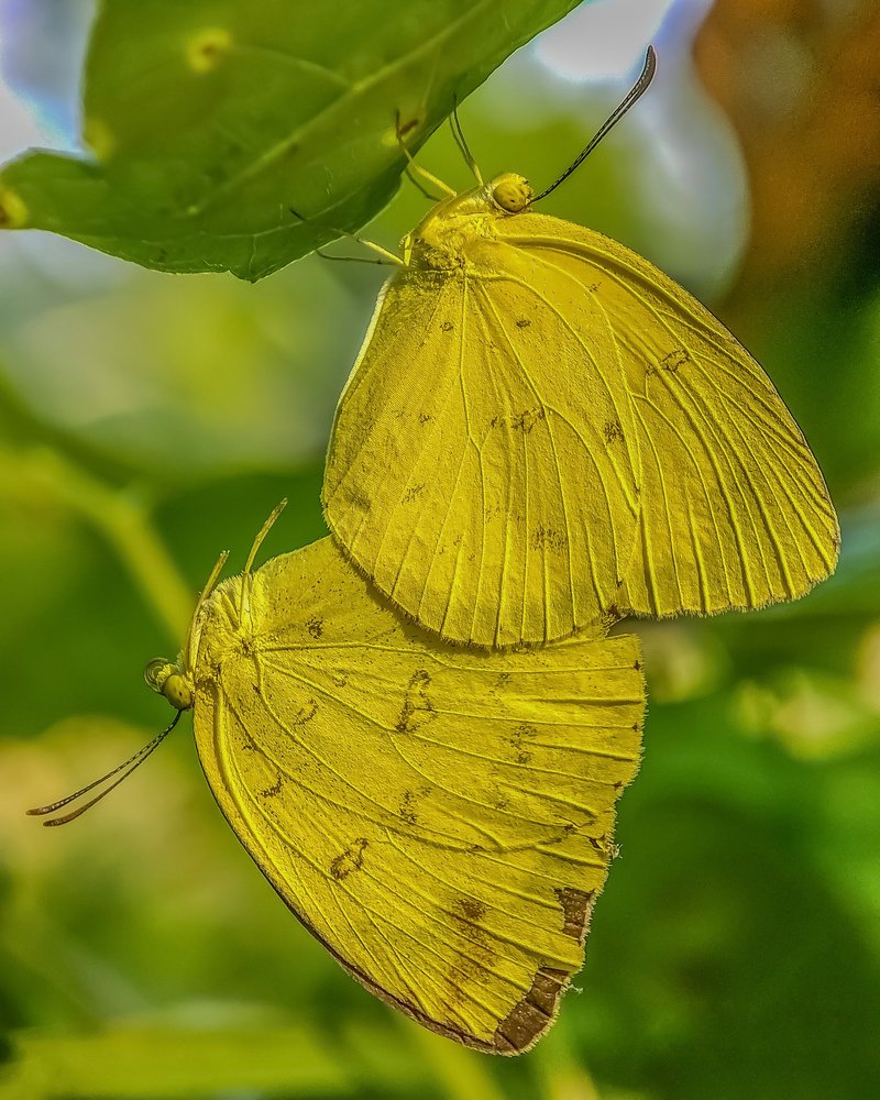 Photograph by Rahul Dey