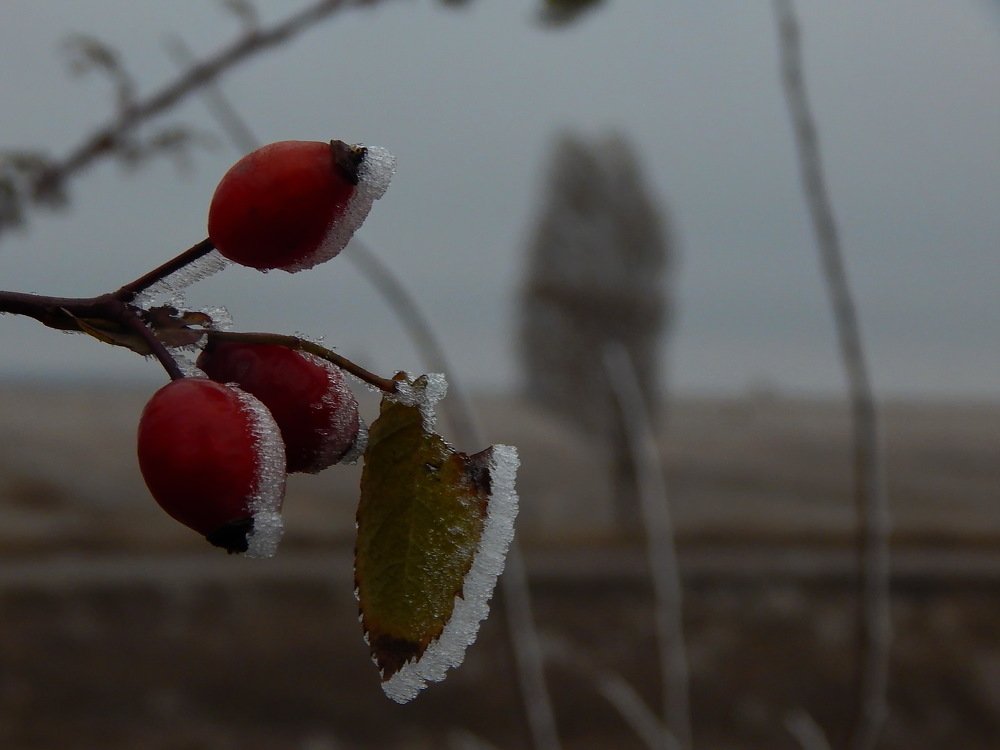 Photograph by Дмитрий Сало